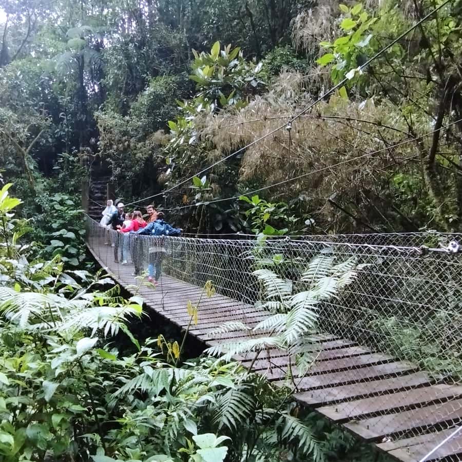 From Bogota: La Chorrera Waterfall Guided Hike - Who should book this hike (and who should choose differently)