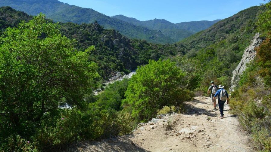 From Cala Gonone: Gorropu hiking with lunch - What the lunch and bread add to the experience