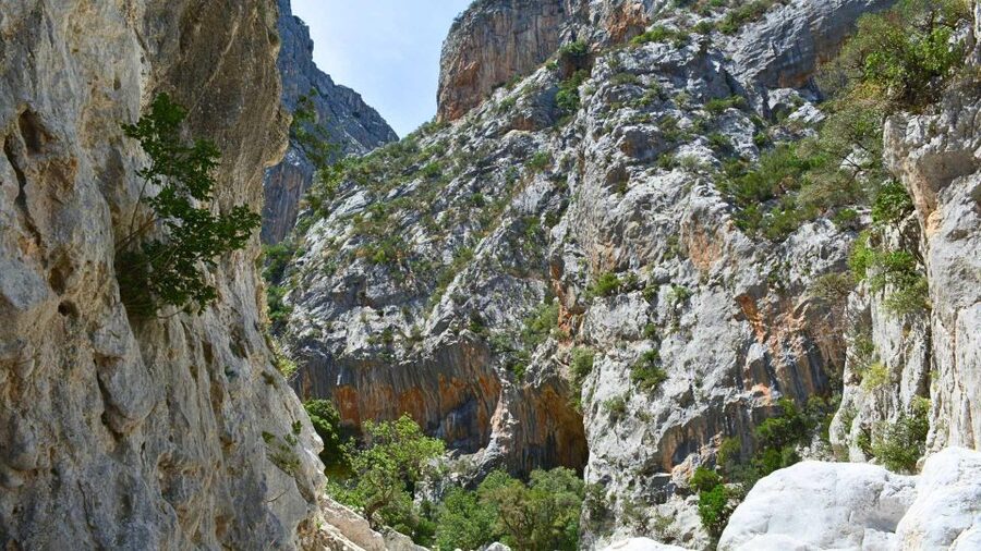 From Cala Gonone: Gorropu hiking with lunch - Who should book this and who should skip it