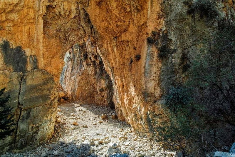 From Chania:Imbros Gorge Tour with Professional Hiking Guide - Quick Takeaways