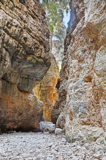 From Chania:Imbros Gorge Tour with Professional Hiking Guide - Chania to Imbros: What Sets the Tone for the Whole Day