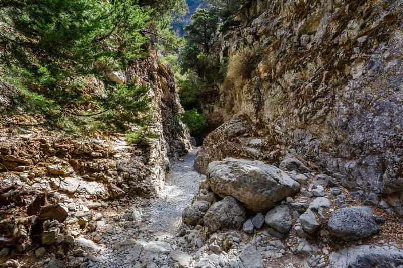 From Chania:Imbros Gorge Tour with Professional Hiking Guide - Imbros Gorge (9 km): A Beginner-Friendly Descent With Real Footwork