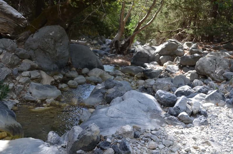 From Chania/Kalyves: Full-Day Samaria Gorge Hiking Day Trip - What to pack (and what to skip) for comfort