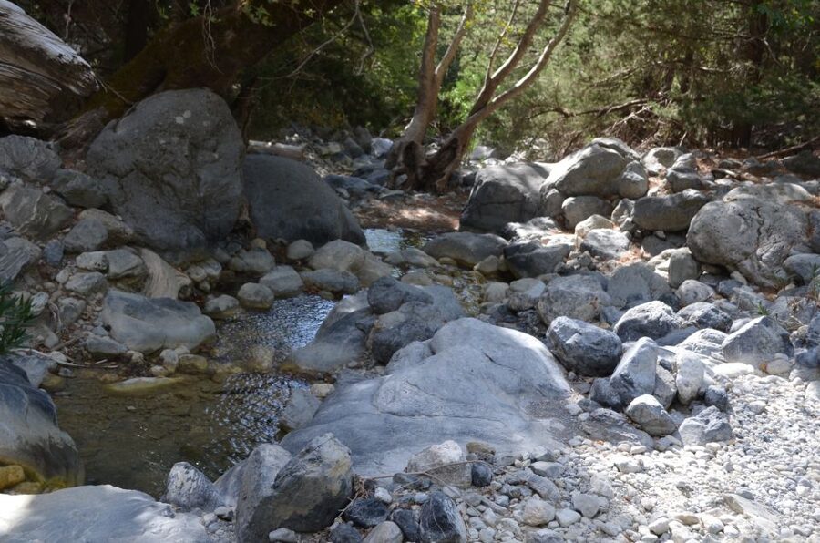 From Chania/Kalyves: Full-Day Samaria Gorge Hiking Day Trip - Price and value: what your $32.75 really buys