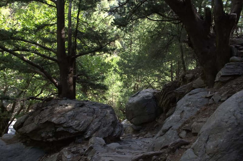 From Chania: Samaria Gorge Hike with Local Mountain Guide - What to pack (and what footwear really should mean)