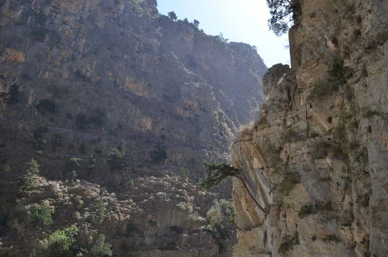 From Chania: Samaria Gorge Hike with Local Mountain Guide - Samaria Gorge in plain terms: one big downhill day