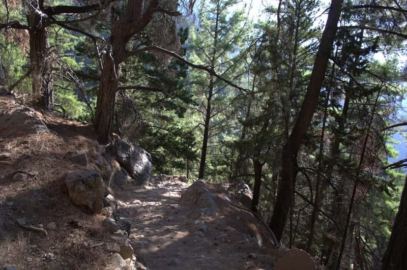 From Chania: Samaria Gorge Hike with Local Mountain Guide - Walking through the gorge: pacing freedom, Kri-Kri spotting, and practical terrain