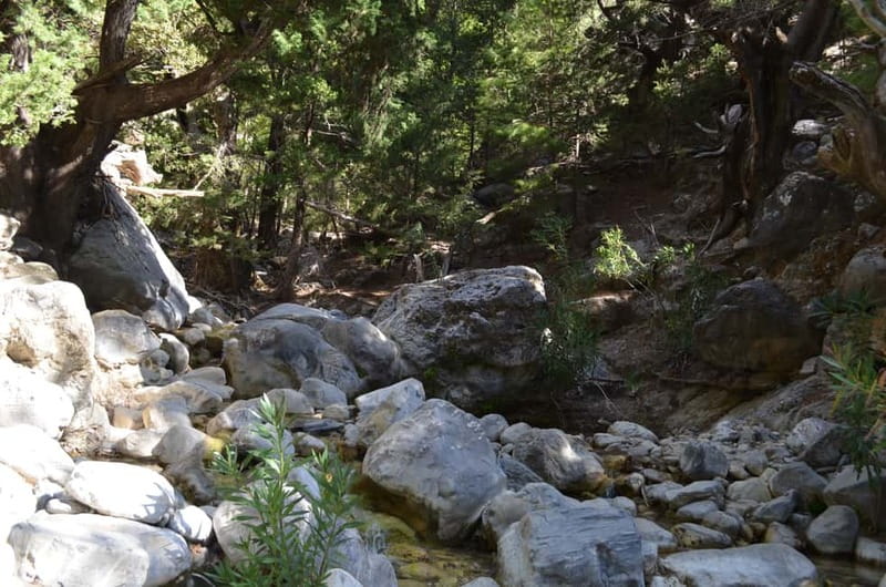 From Chania: Samaria Gorge Hike with Local Mountain Guide - The Agia Roumeli exit: beach time, lunch, and a cold-water reset