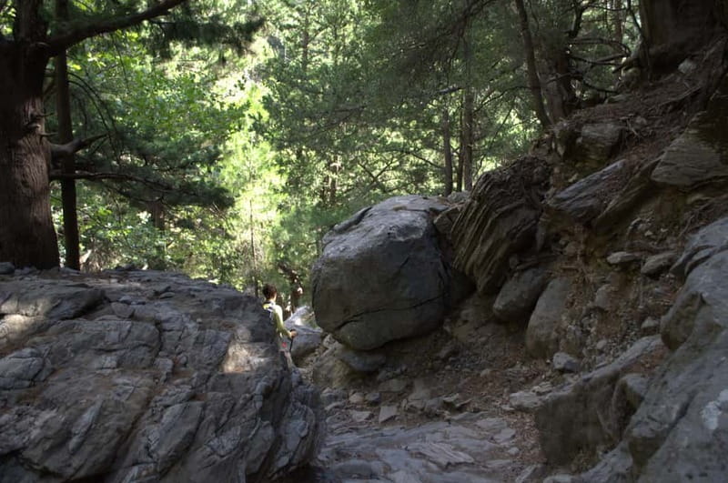 From Chania: Samaria Gorge Hike with Local Mountain Guide - Ferry to Sougia and the ride back to Chania