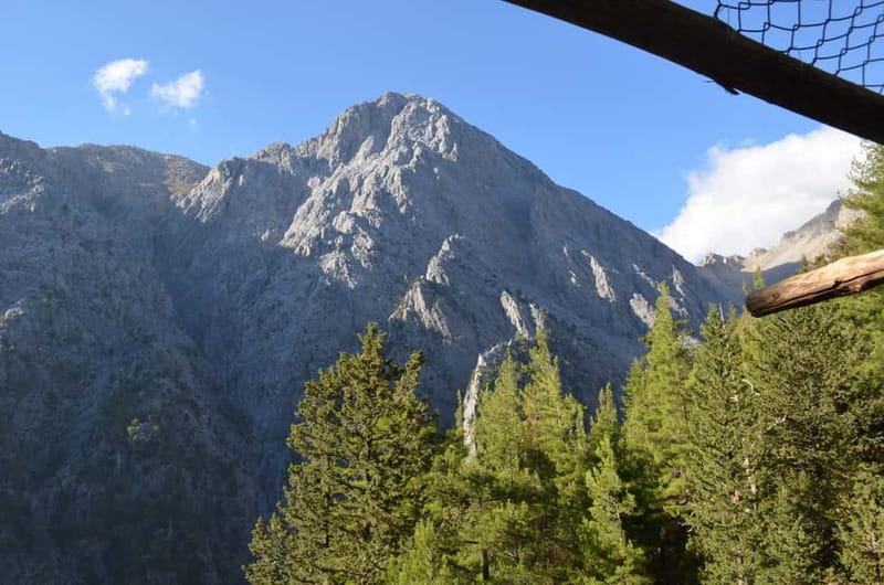 From Chania: Samaria Gorge Hike with Local Mountain Guide - From Chania to Omalos: the bus ride that sets the tone