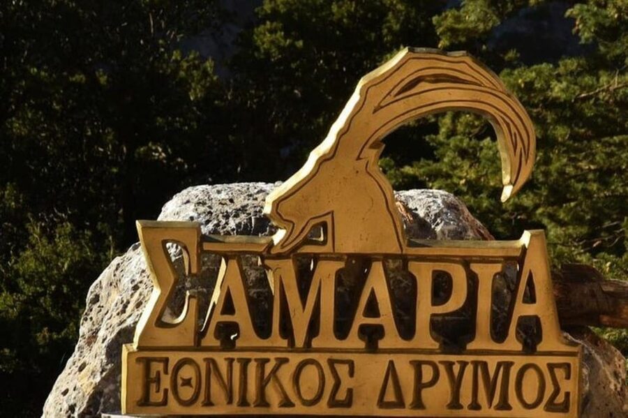 From Chania: Samaria Gorge with Professional Hiking Guide - Guide and Driver: What “Professional” Really Means on This Route
