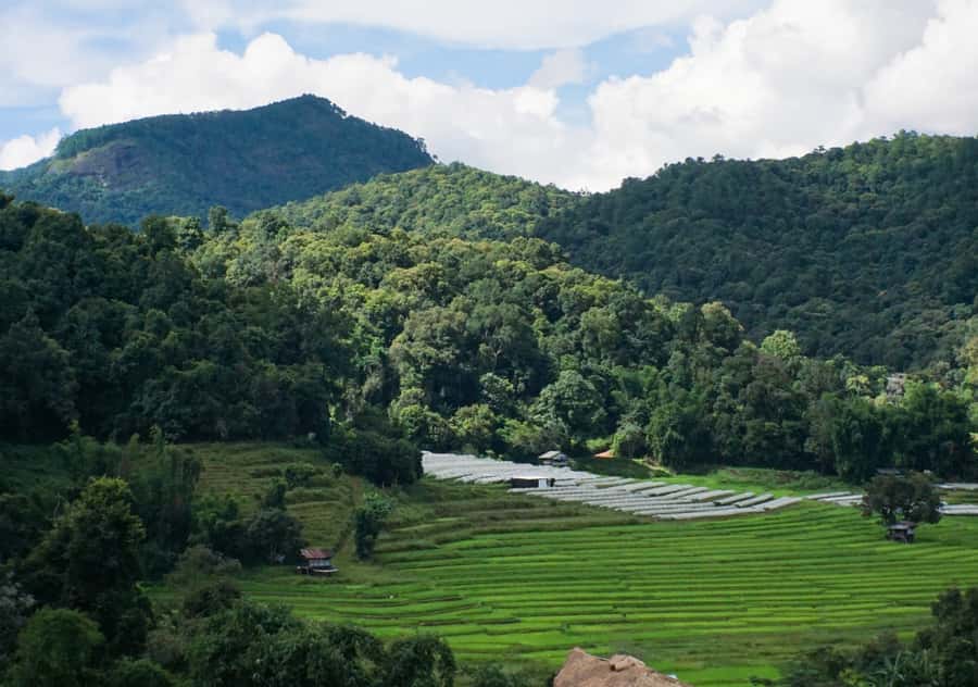 From Chiang Mai: Doi Inthanon National Park Day Trip & Hike - Key highlights worth your attention