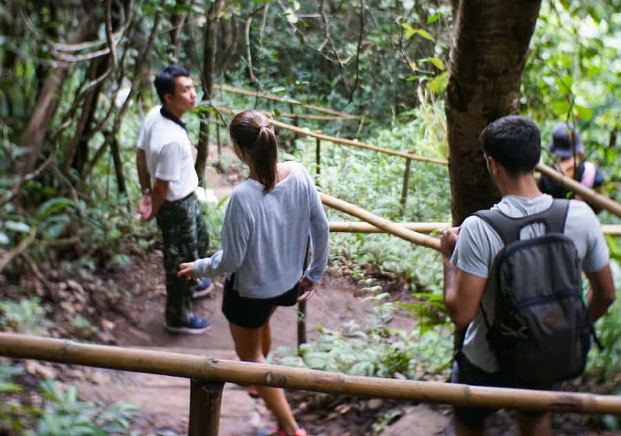 From Chiang Mai: Doi Inthanon National Park Day Trip & Hike - Doi Inthanon is the kind of change of pace you’ll feel immediately