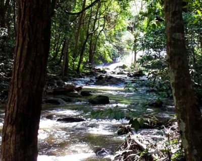 From Chiang Mai: Doi Inthanon National Park Day Trip & Hike - The van ride: comfort, but still a full day