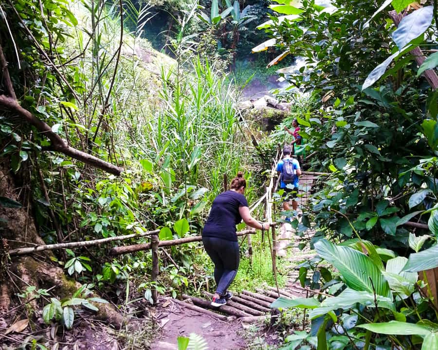 From Chiang Mai: Doi Inthanon National Park Day Trip & Hike - Twin pagodas and the Hmong Market: culture with actual context