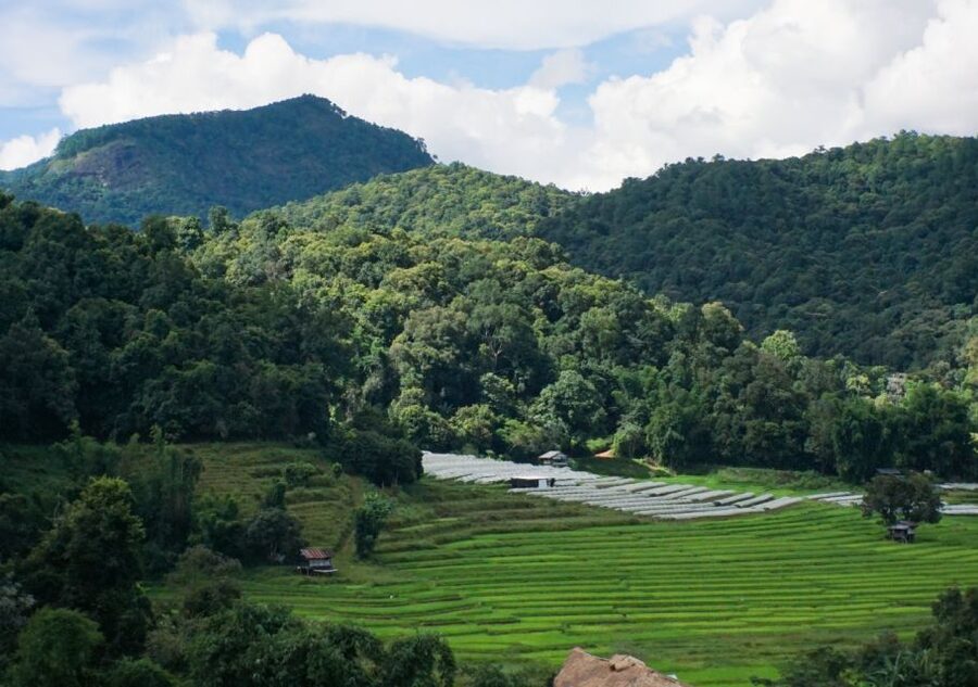 From Chiang Mai: Doi Inthanon National Park Day Trip & Hike - Lunch at the Royal Project restaurant: a real fuel stop, not a quick bite