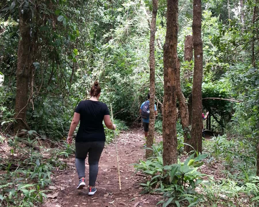From Chiang Mai: Doi Inthanon National Park Day Trip & Hike - Karen Hill Tribe Village: coffee as a calm cultural finish