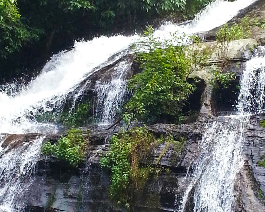 From Chiang Mai: Doi Inthanon National Park Day Trip & Hike - Mae Klang Luang: scenic viewpoints and more mountain culture