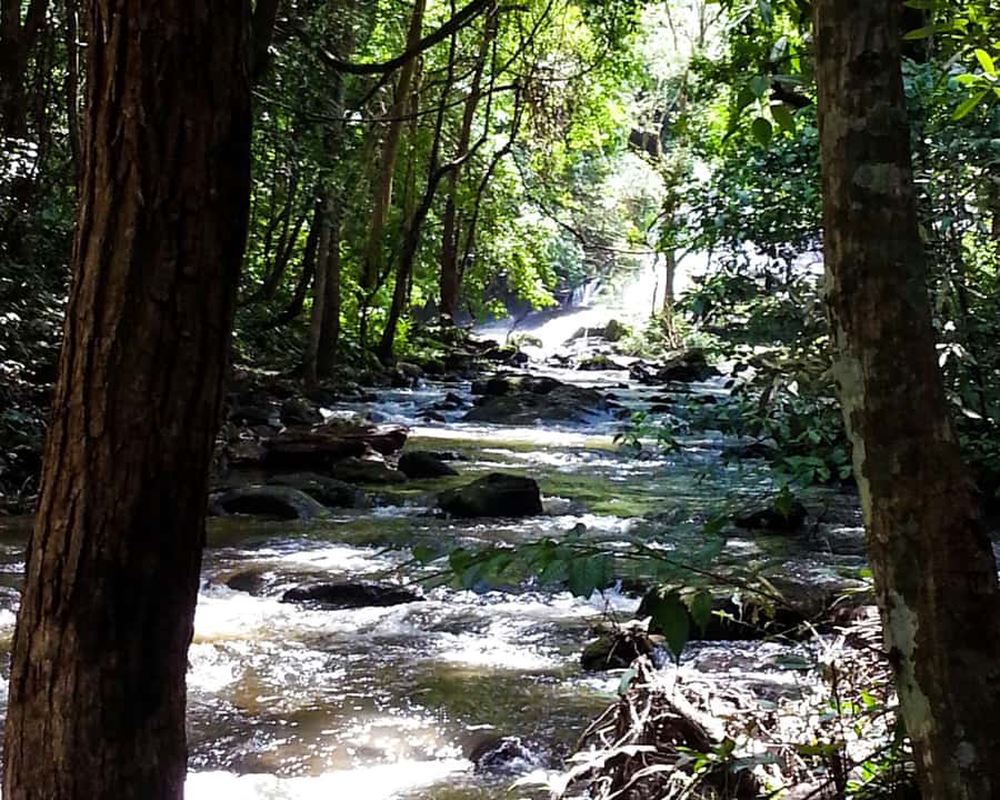 From Chiang Mai: Doi Inthanon National Park Day Trip & Hike - The van ride: comfort, but still a full day