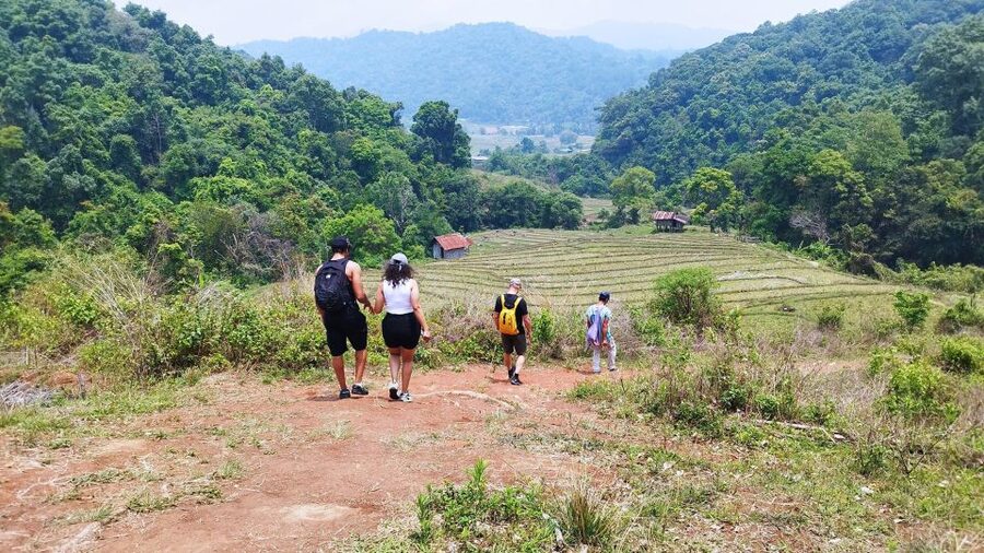 From Chiang Mai: Doi Inthanon National Park Hiking Tour - Key Highlights Worth Getting Excited About