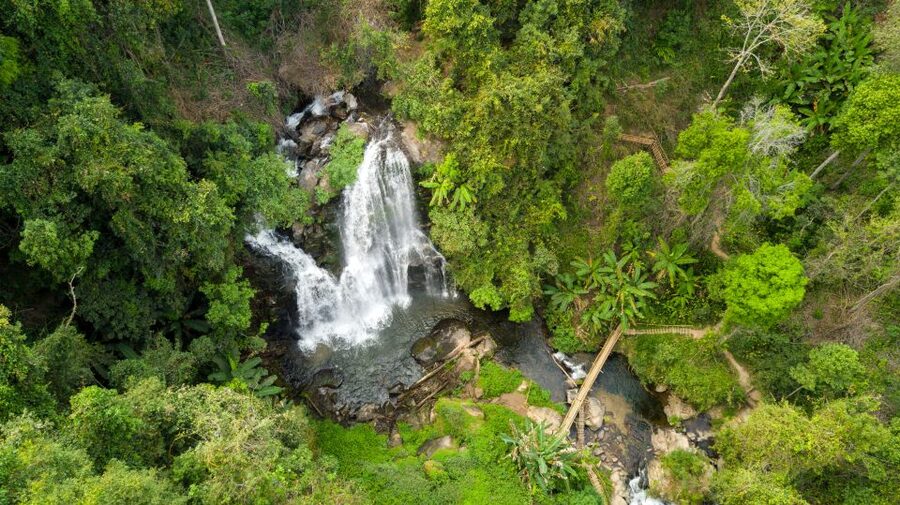 From Chiang Mai: Doi Inthanon National Park Hiking Tour - Who This Tour Is Perfect For (And Who Might Want a Simpler Day)