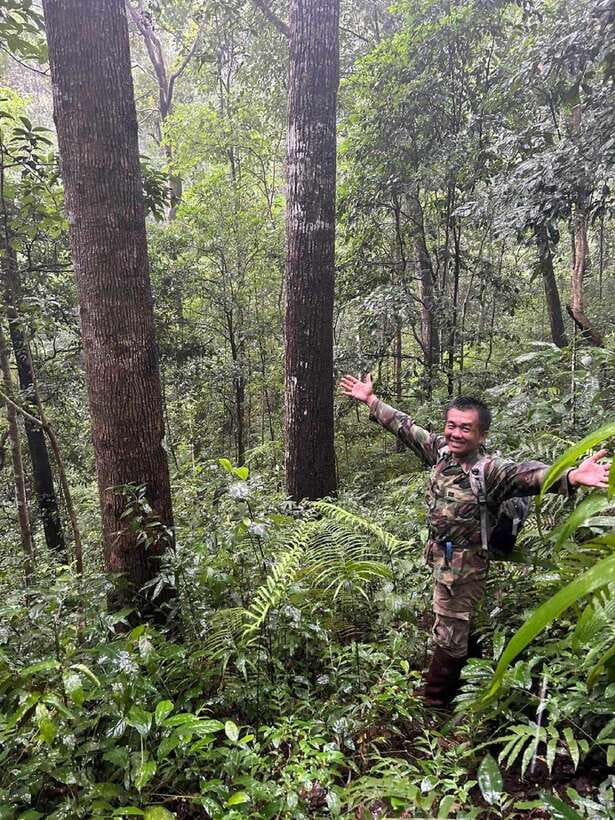 From Chiang Mai: Doi Saket Hiking Tour with Lunch - Key Things You’ll Notice on This Doi Saket Jungle Hike