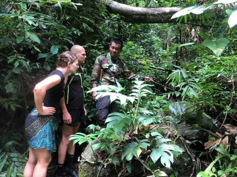 From Chiang Mai: Doi Saket Hiking Tour with Lunch - From Hotel Pickup to Doi Saket: Why the Day Starts Calm