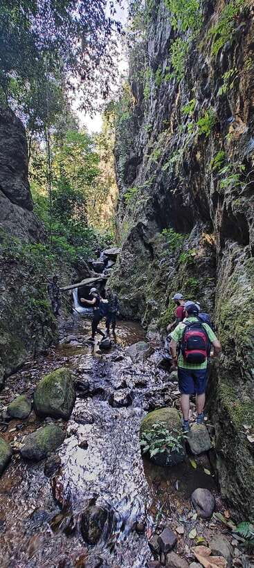 From Chiang Mai: Doi Saket Hiking Tour with Lunch - 5 Hours in Jungle: Ancient Trees, Bamboo, and “Okay, This Is Real”