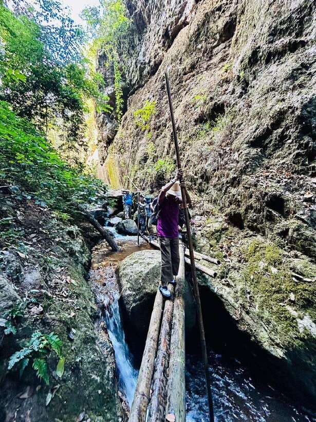 From Chiang Mai: Doi Saket Hiking Tour with Lunch - The Stream, the Ladder, and the Waterfall Shower