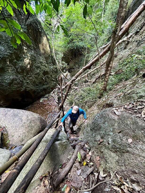 From Chiang Mai: Doi Saket Hiking Tour with Lunch - The Return Route: Bamboo Groves, Fruit Trees, and Village Tea