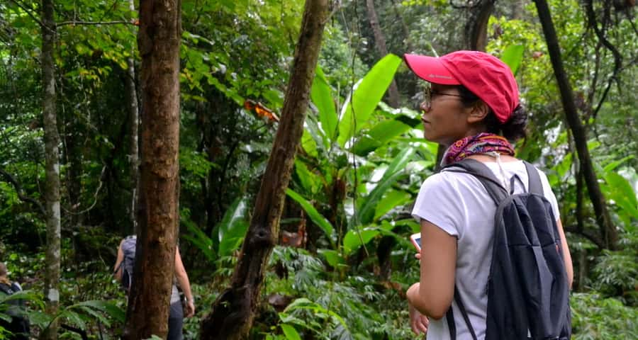 From Chiang Mai: Mae Taeng Valley Hike & Bike Day Trip - Key Points at a Glance