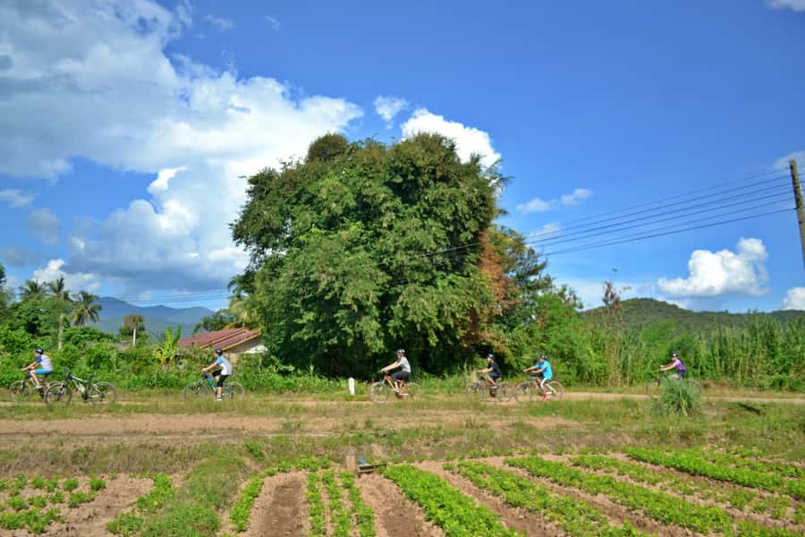From Chiang Mai: Mae Taeng Valley Hike & Bike Day Trip - Jeep Down the Valley: Reset Before the Bike Portion