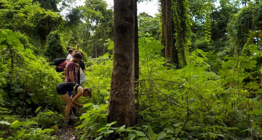 From Chiang Mai: Mae Taeng Valley Hike & Bike Day Trip - Wat Ban Den Photo Stop: A Quick Cultural Thread Before You Return