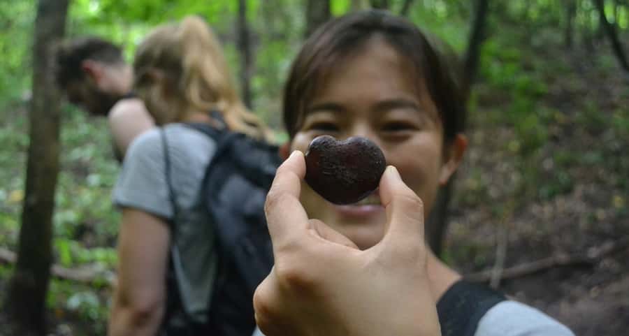 From Chiang Mai: Mae Taeng Valley Hike & Bike Day Trip - The Morning Hike: 5 km on Villager Trails and Fruit Orchards