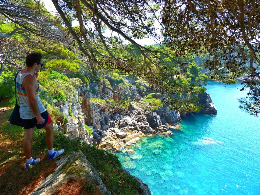 From Dubrovnik: Hiking & Swimming on Koločep Island Day Trip - Who This Tour Fits Best (and Who Should Skip)