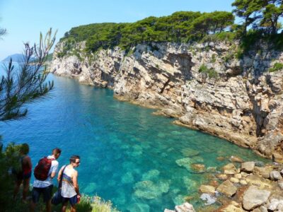From Dubrovnik: Hiking & Swimming on Koločep Island Day Trip - The 3-Hour, 8 km Walk: Moderate Effort With Real Payoff