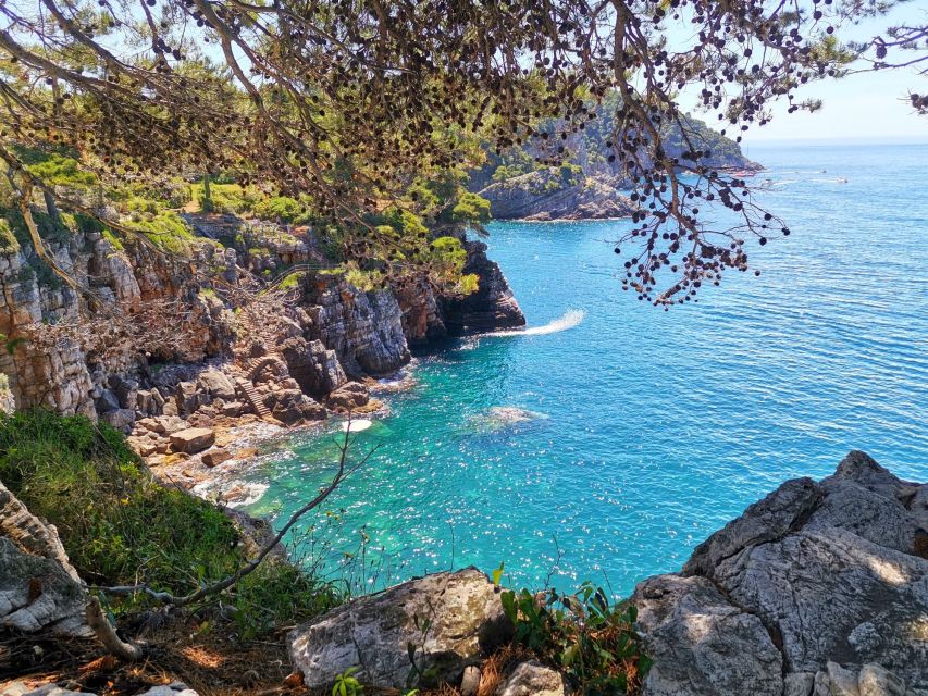 From Dubrovnik: Hiking & Swimming on Koločep Island Day Trip - Lunch Options: Picnic or a Small Fish Restaurant