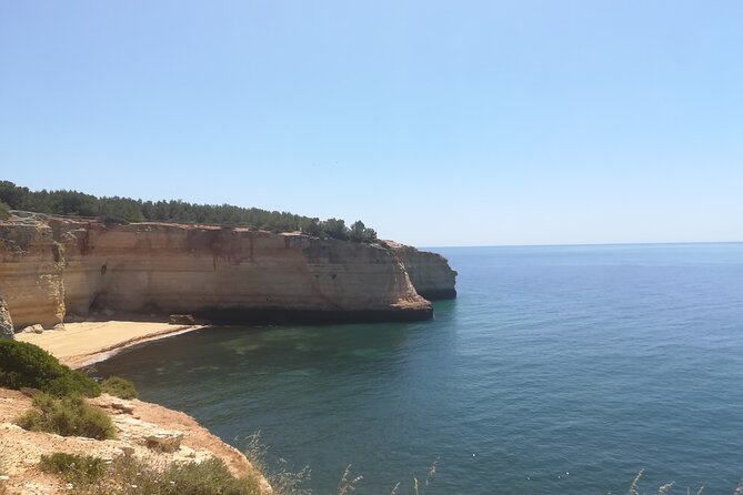 From Faro: Benagil Hiking Cliffs and the 4 Treasure Experience - The guide factor: why Claire’s style changes the whole day