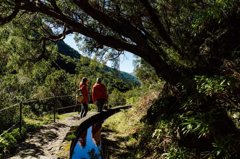 From Funchal/Caniço: Rabaçal Hike (25 Fontes) Bus Transfer - Rabaçal 25 Fontes Shuttle: What This Experience Really Solves