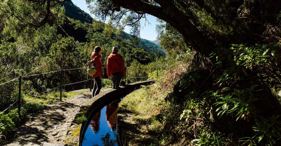 From Funchal/Caniço: Rabaçal Hike (25 Fontes) Bus Transfer - Key Things I’d Bet You’ll Care About