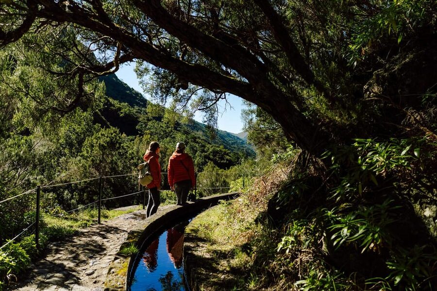 From Funchal/Caniço: Rabaçal Hike (25 Fontes) Bus Transfer - What’s Included (and What’s Not)