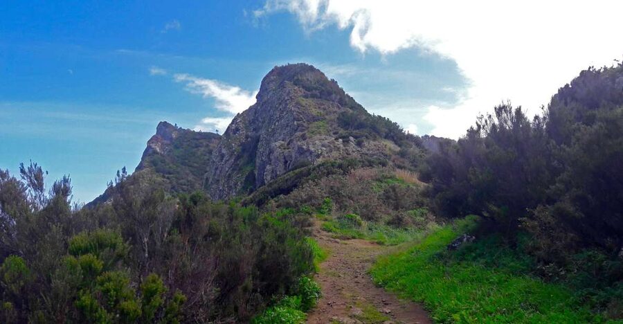 From Funchal: Machico to Porto da Cruz Larano Cliff Hike - Key points before you go