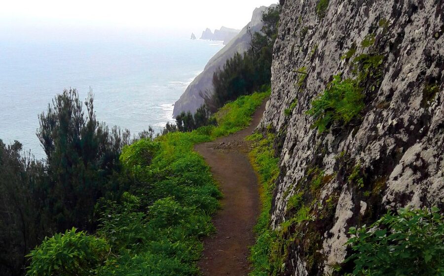 From Funchal: Machico to Porto da Cruz Larano Cliff Hike - Machico start: agriculture, levadas, and a gentler warm-up
