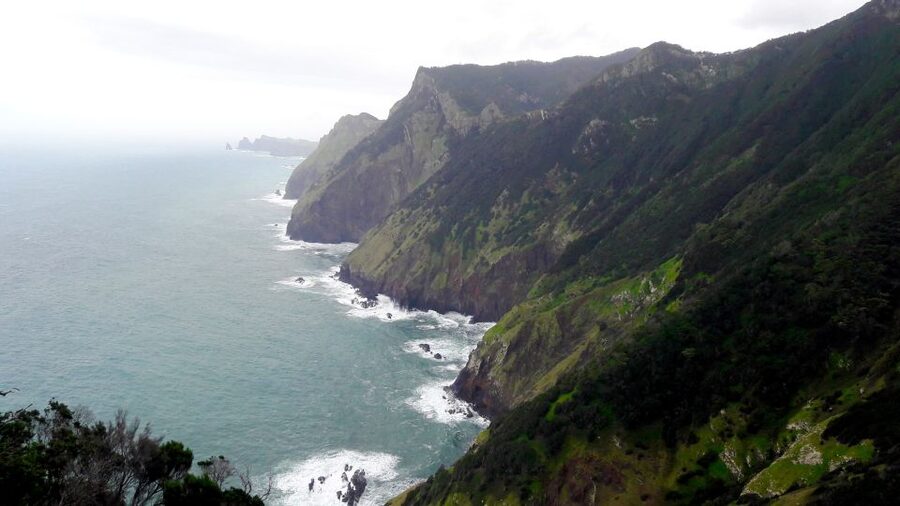 From Funchal: Machico to Porto da Cruz Larano Cliff Hike - The historic route to Porto da Cruz: why this trail is more than scenery