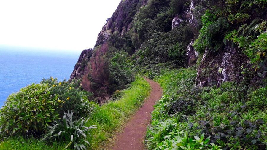 From Funchal: Machico to Porto da Cruz Larano Cliff Hike - São Lourenço Peninsula and Porto Santo: the view breaks you’ll plan around