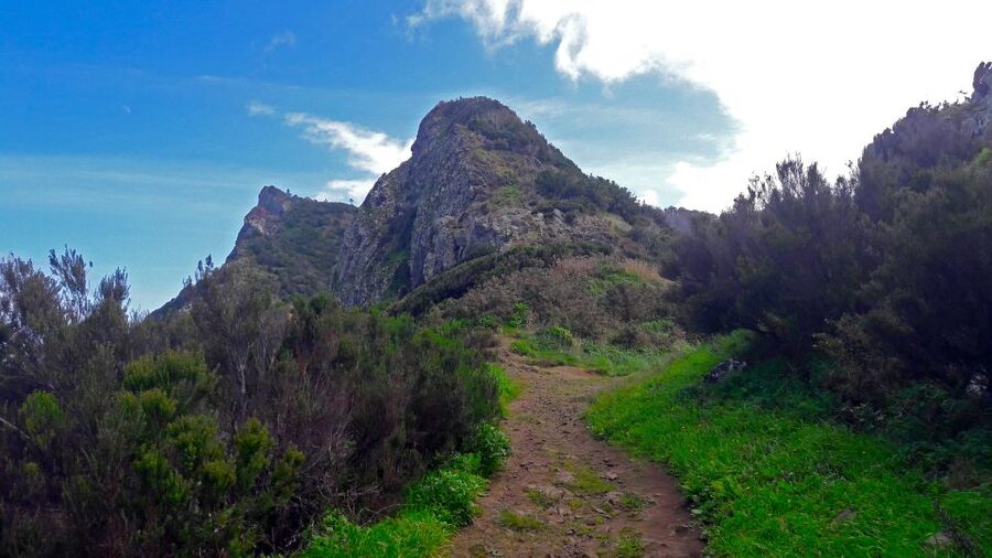 From Funchal: Machico to Porto da Cruz Larano Cliff Hike - Your 8-hour day, step by step: what you actually do