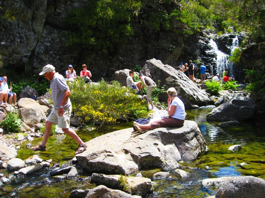 From Funchal: Madeira Lakes Levada Guided Hike - Pickup From Funchal: The Easy Start That Sets Your Day Up
