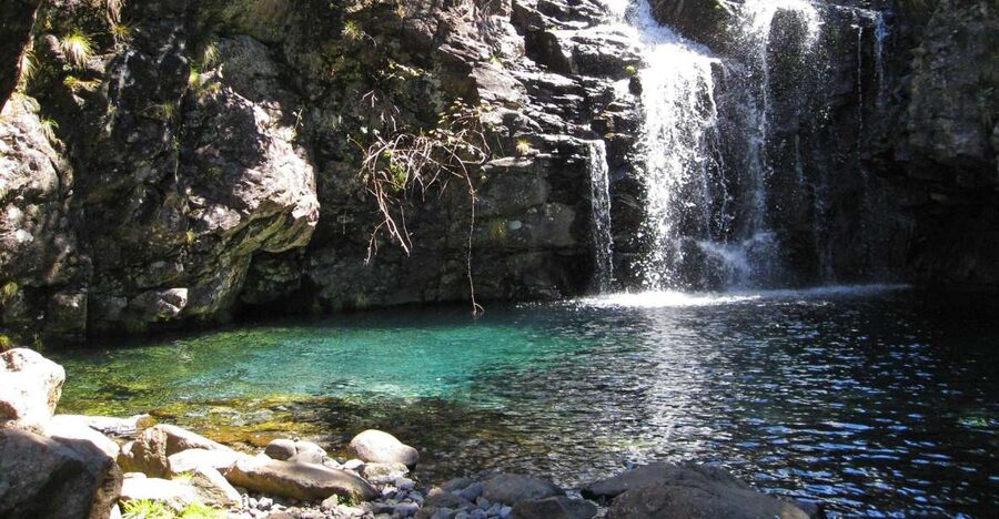 From Funchal: Madeira Lakes Levada Guided Hike - Waterfalls and Mountain Lakes: The Swim Stop You’ll Remember