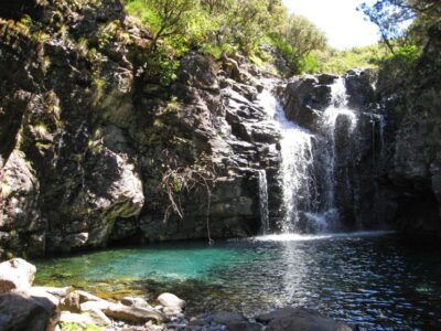 From Funchal: Madeira Lakes Levada Guided Hike - The 10-Kilometer Trek: Forest Walking, Rock Pools, and Real Rough Ground