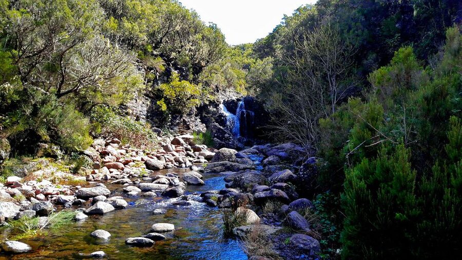 From Funchal: Madeira Lakes Levada Guided Hike - Shared or Private: Choosing the Pace and the Comfort Level
